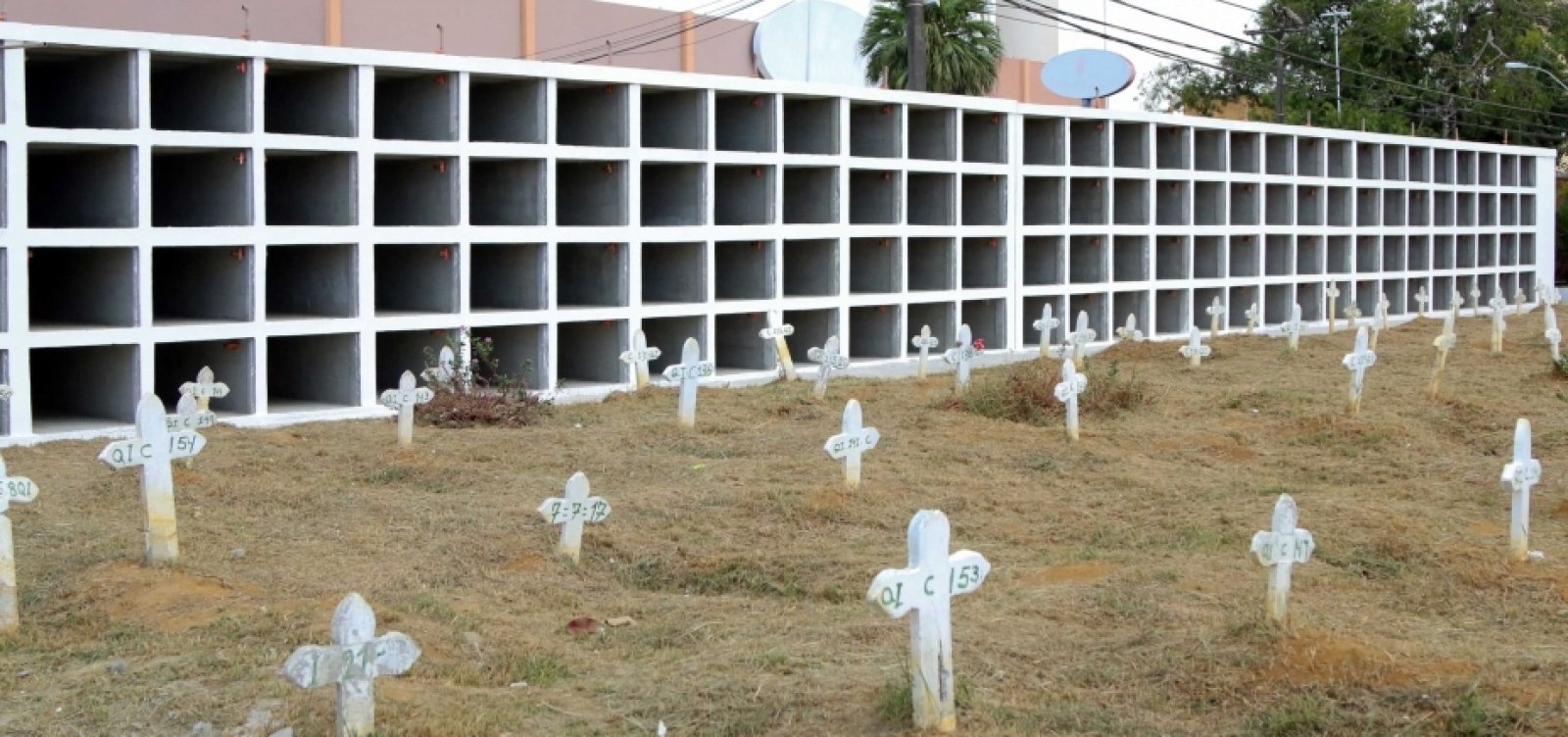 Cemitérios públicos de Salvador têm aumento de 10% em enterros ...